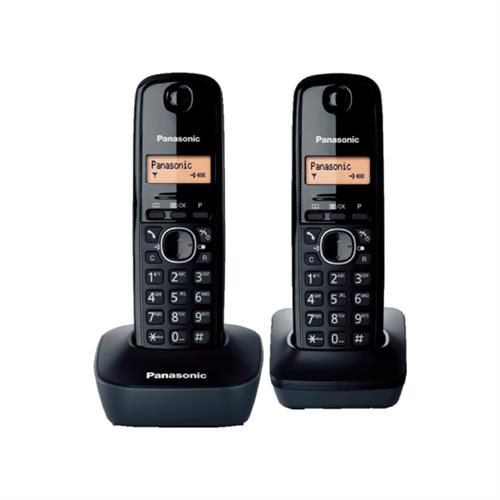 Panasonic Cordless Telephone DUO/TWIN KX-TG1612