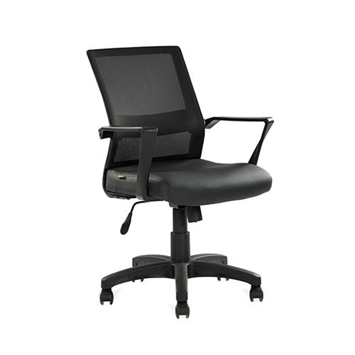 Piyestra Executive Low Back Chair ECL005