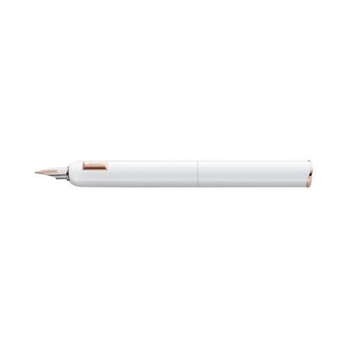 Lamy dialog cc Fountain Pen