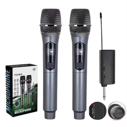 TTD-M12 Dual Handheld Wireless Microphones