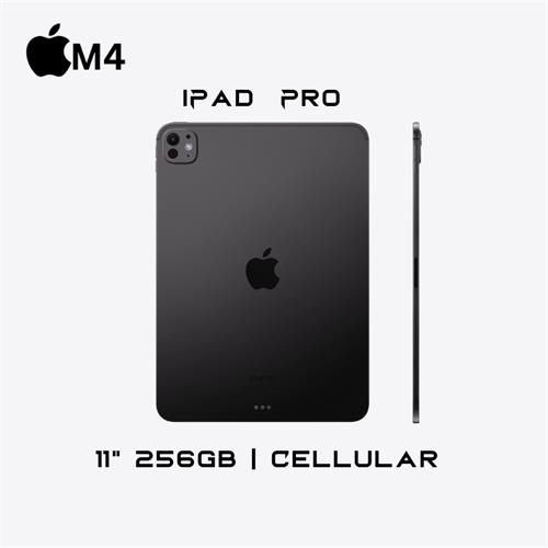 Apple iPad Pro 11 inch M4 256GB Space Black Cellular