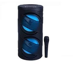 GTS Portable Wireless Speaker with Wired Microphone GTS-1309