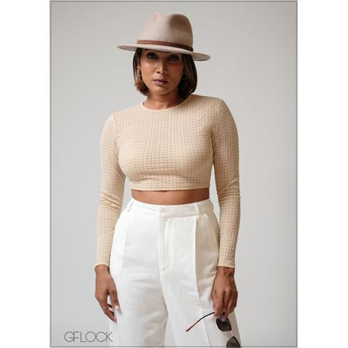 Long Sleeve Mesh Crop Top - 230625