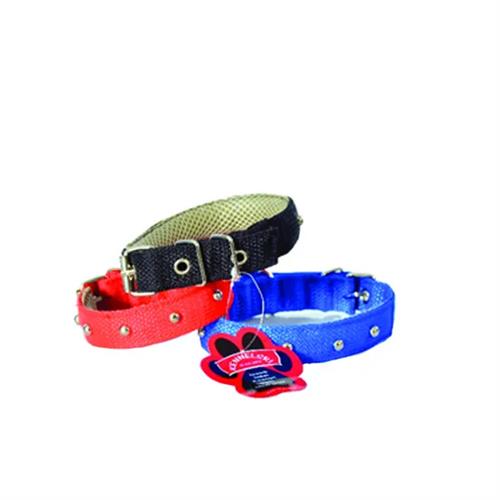 Kennlesri Puppy Collar