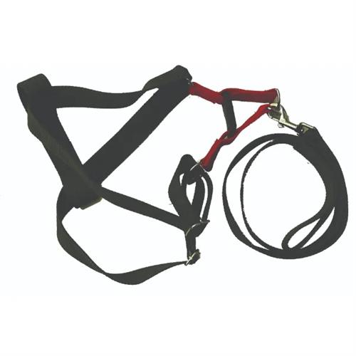Seepet Dog Harness (25Mm45/60Cm)