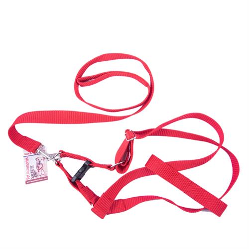 Seepet Ny Dog Collar Qr (25Mmx48/70Cm)