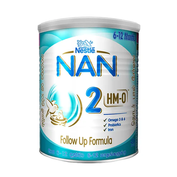 Nan 2 Hm-O Follow Up Formula 6-12 Months 400G