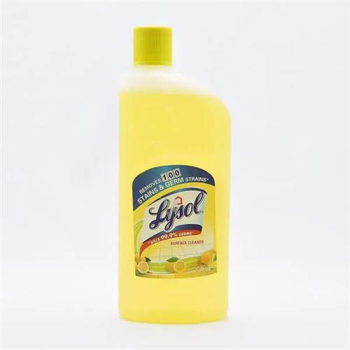 Lysol Citrus All Purpose Clean 500Ml