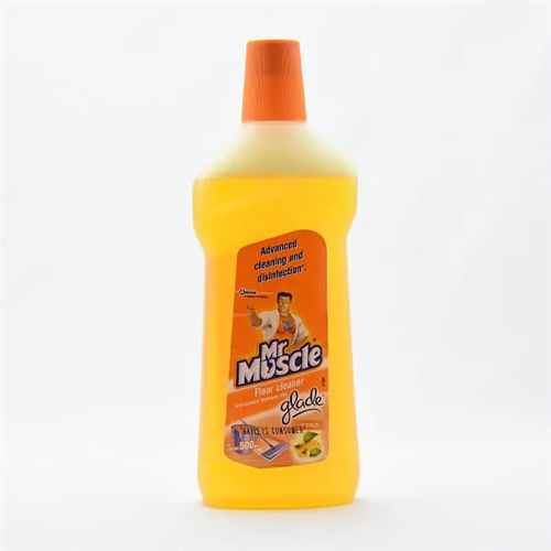 Mr Muscle Floor Cleaner Citrus 525Ml