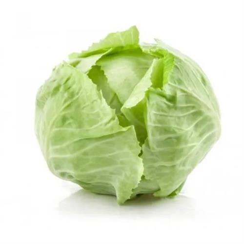 Cabbage