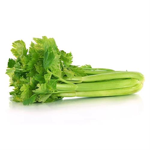 Celery