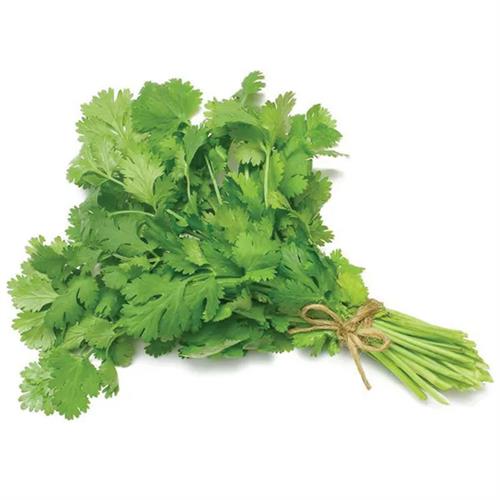 Coriander Leaves