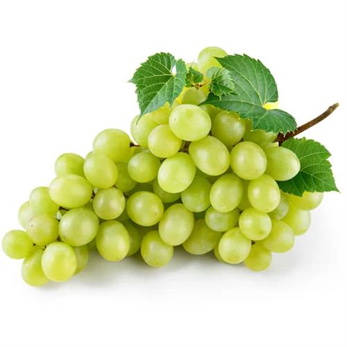 Grapes - Green