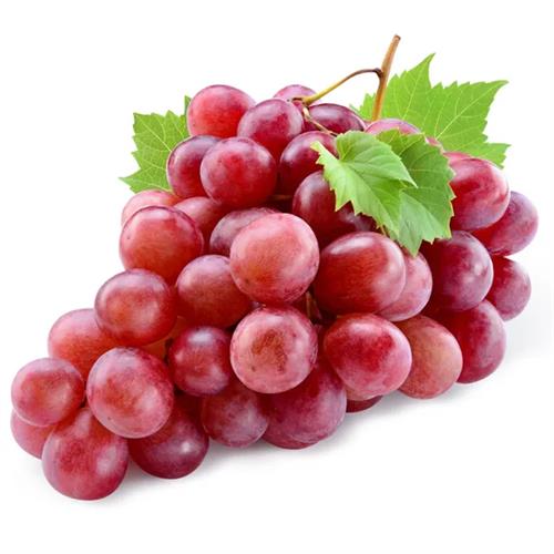 Grapes - Red