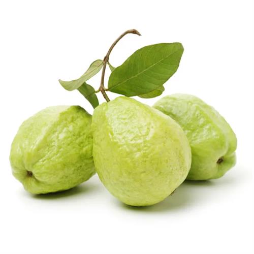 Guava