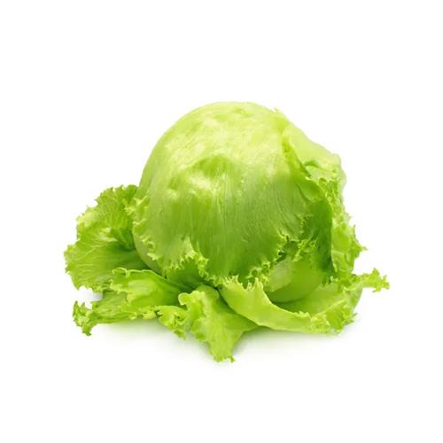 Iceberg ( Lettuce )