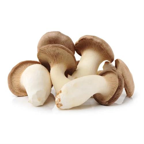 Lakna American Oyester Mushroom 200G