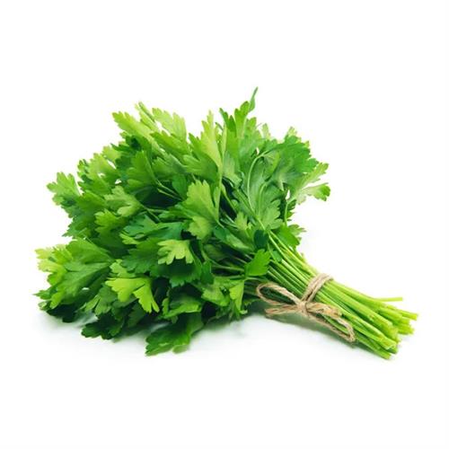 Parsley