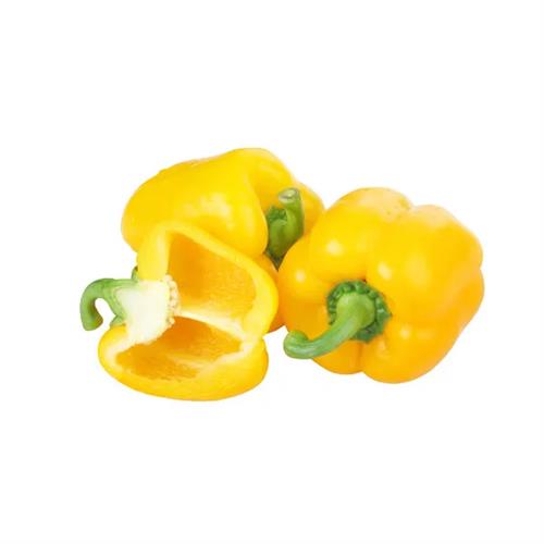 Bell Pepper Yellow