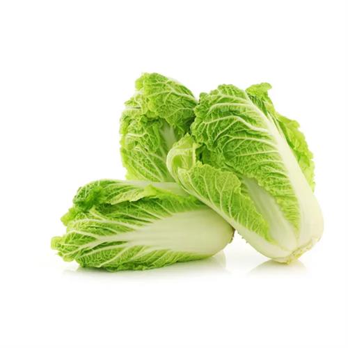 Chinese Cabbage