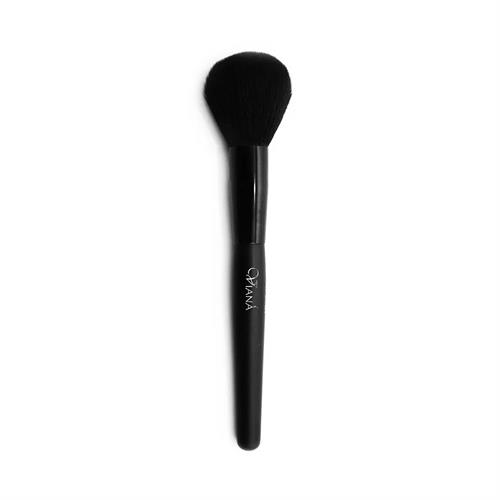 Viana Blusher Brush Vmb02 1Pcs