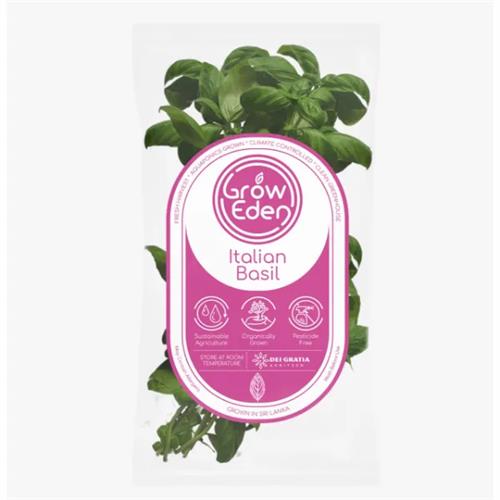 Groweden Italian Basil 30G