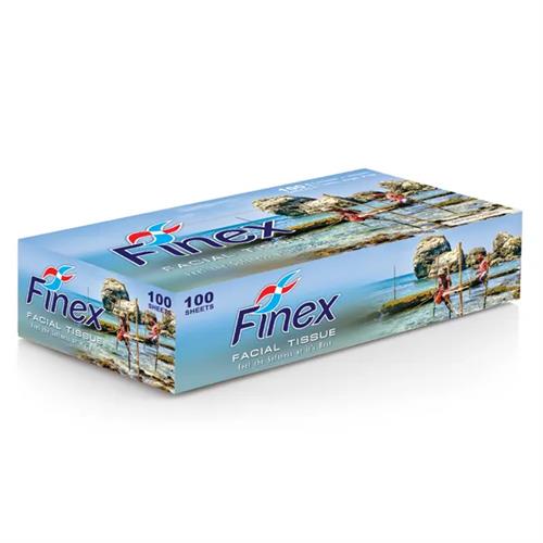 Finex Facial Tissues 100S