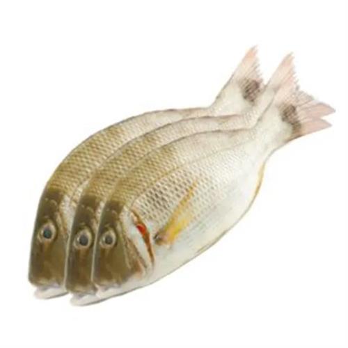 White Mullete