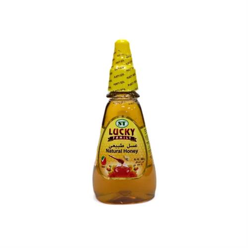 Lucky Family Honey Squeezy 400G