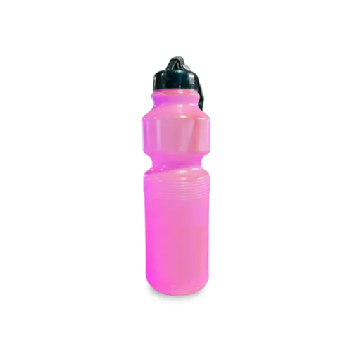 Dsi Water Bottle 750Ml