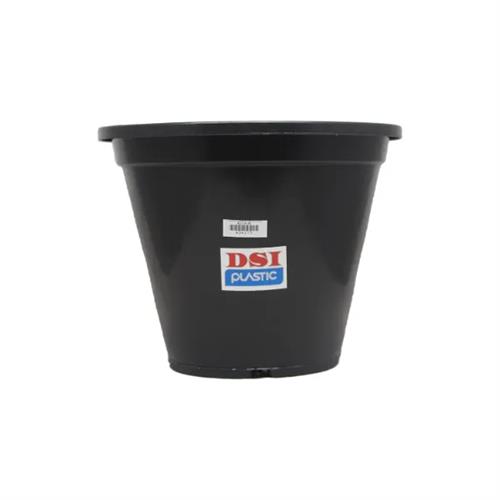 Dsi Pp Flower Pot -Bella 3 25Cm