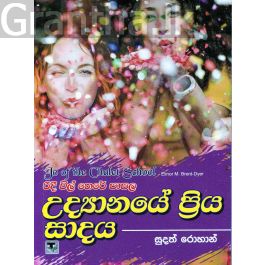 රිදී විල් තෙරේ පාසල 6 - උද්යානයේ ප්රිය සාදය