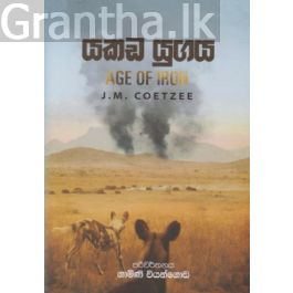 යකඩ යුගය
