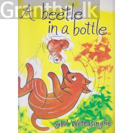 A beetle in a Bottle
