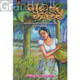 බැද්දට හඳ පායාවිත්