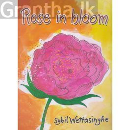Rose in Bloom