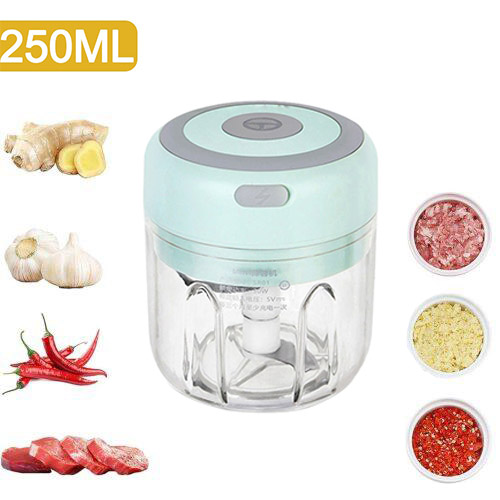 Electric Mini Food Chopper 250ml Garlic Mincer