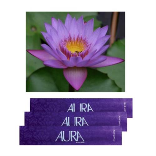 Aura Incense Sticks Blue Lotus (L)