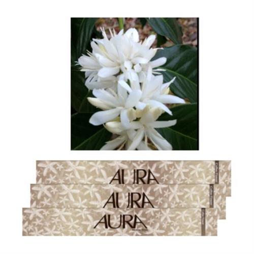 Aura Incense Sticks Coffee Flower (S)