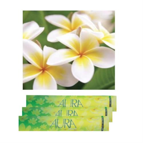 Aura Incense Sticks Frangipani Araliya (L)