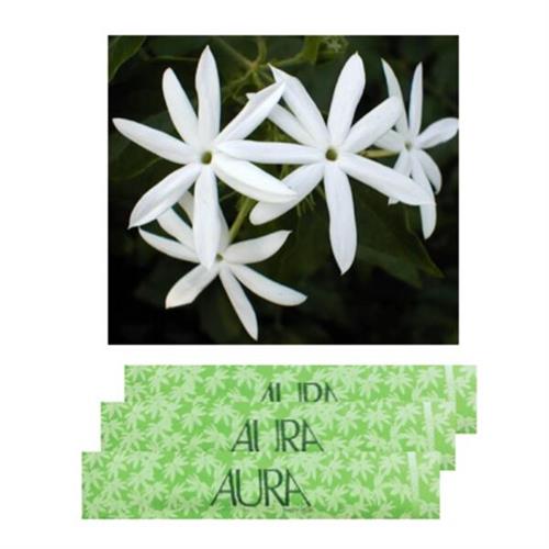 Aura Incense Sticks Jasmine (L)