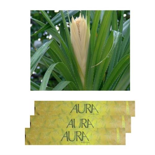 Aura Incense Sticks Kewada (L)