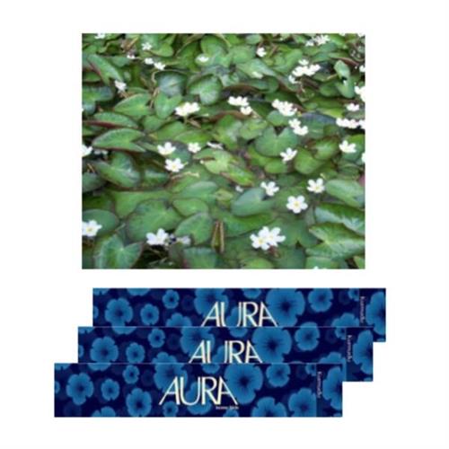 Aura Incense Sticks Water Snowflake Kumudu (L)