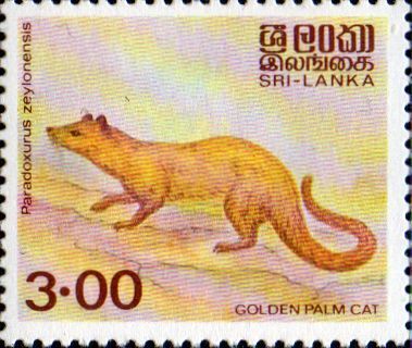 1981 Animals Golden Palm Cat Paradoxurus zeylonensis 10 February 3.00 Rupees Multicolored