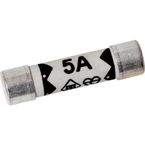 Generic 5A (Amp) Domestic Fuse