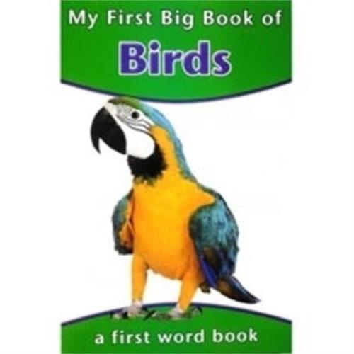 My First Big Book Of Birds