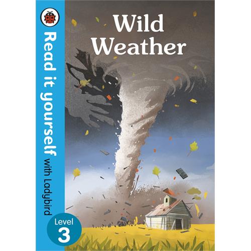 Read It Yourself with Ladybird Level 3 Wild Weather Story Book