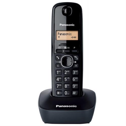 Panasonic Digital Cordless Telephone KX-TG1612