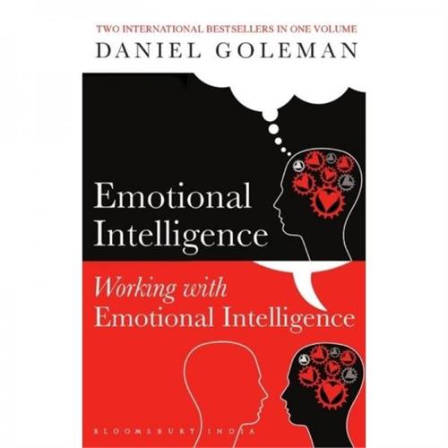 Emotional Intelligence and Working with Emotional Intelligence