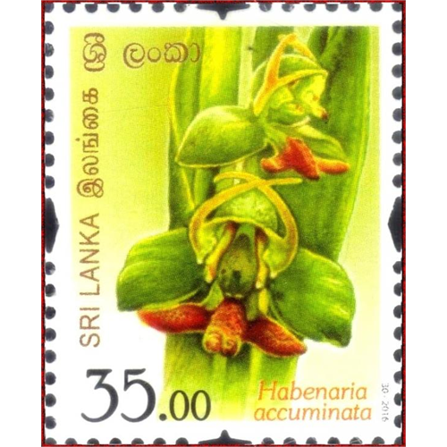 Sri Lanka 2016-10-07 Flowers Of Sri Lanka Habenaria Accuminata Stamp Rs 35.00
